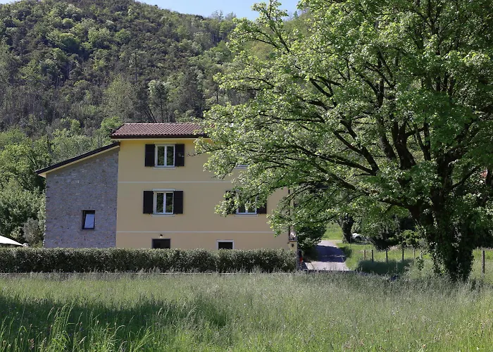 La Niseua
